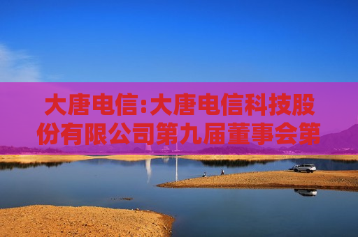 大唐电信:大唐电信科技股份有限公司第九届董事会第二次会议决议公告