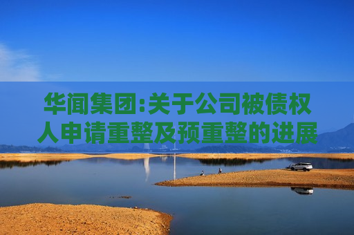 华闻集团:关于公司被债权人申请重整及预重整的进展公告