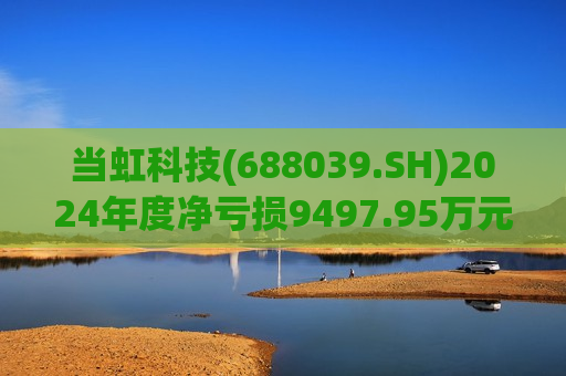 当虹科技(688039.SH)2024年度净亏损9497.95万元