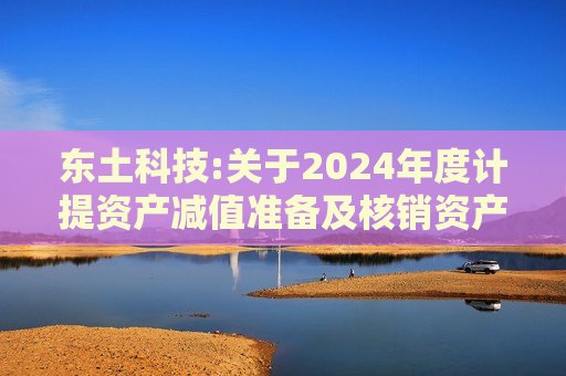 东土科技:关于2024年度计提资产减值准备及核销资产的公告