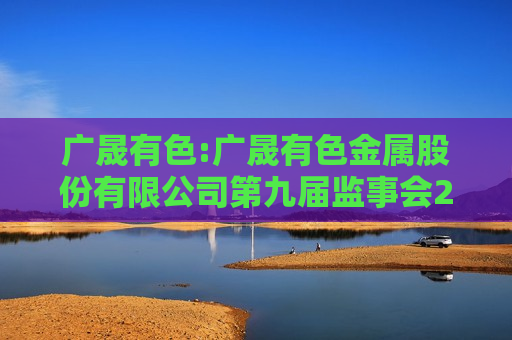 广晟有色:广晟有色金属股份有限公司第九届监事会2025年第二次会议决议公告