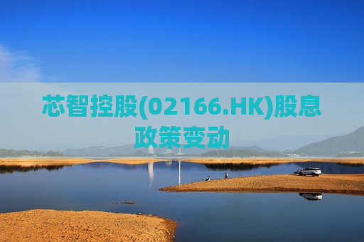 芯智控股(02166.HK)股息政策变动