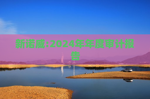新诺威:2024年年度审计报告