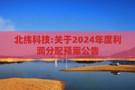 北纬科技:关于2024年度利润分配预案公告