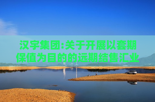 汉宇集团:关于开展以套期保值为目的的远期结售汇业务、外汇期权业务、外汇掉期业务的公告