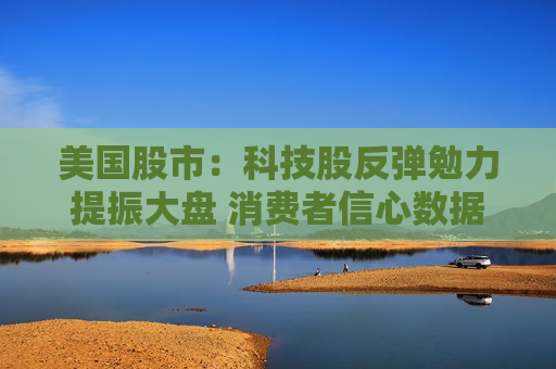 美国股市：科技股反弹勉力提振大盘 消费者信心数据令市场蒙阴