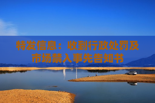 特发信息：收到行政处罚及市场禁入事先告知书