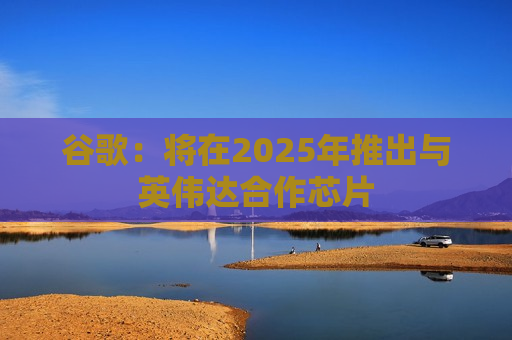 谷歌：将在2025年推出与英伟达合作芯片