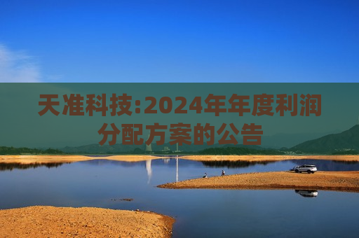 天准科技:2024年年度利润分配方案的公告