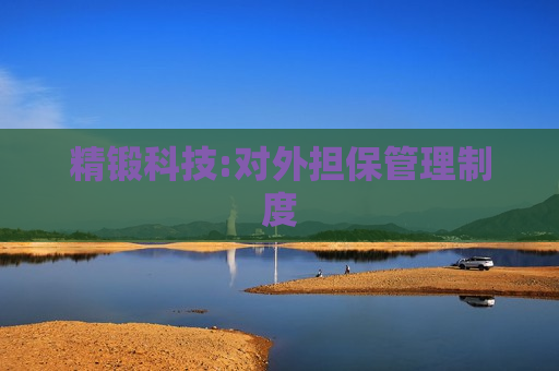 精锻科技:对外担保管理制度