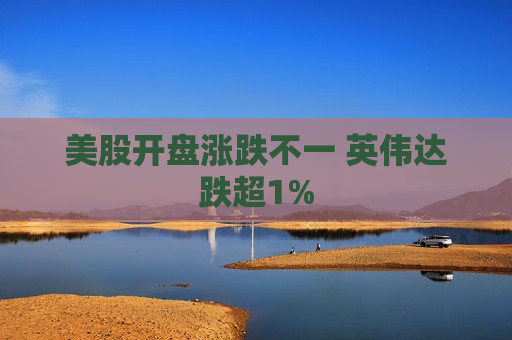 美股开盘涨跌不一 英伟达跌超1%
